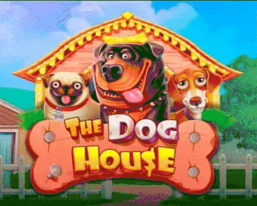 Play The Dog House in Daytona Spin Casino